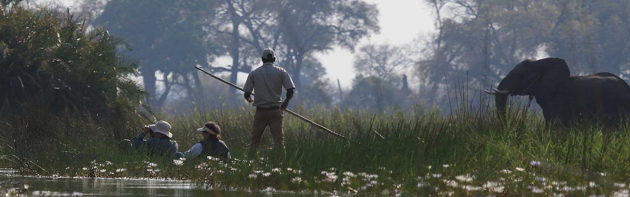 Mokoro ride, Okavango Delta, Botswana, African Safari, Botswana Safari, Naturalist Journeys 