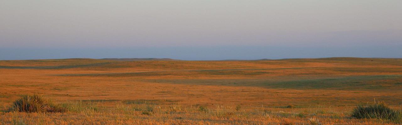 Colorado, Prairie Chicken Booming, Prairie Chicken Blind Lek, Colorado Wildlife Tour, Guided Nature Tour, American Prairies, Birdwatching, Naturalist Journeys