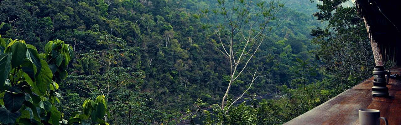 Black Rock Lodge, Belize Nature Tours, Naturalist Journeys, Guided Nature Tour