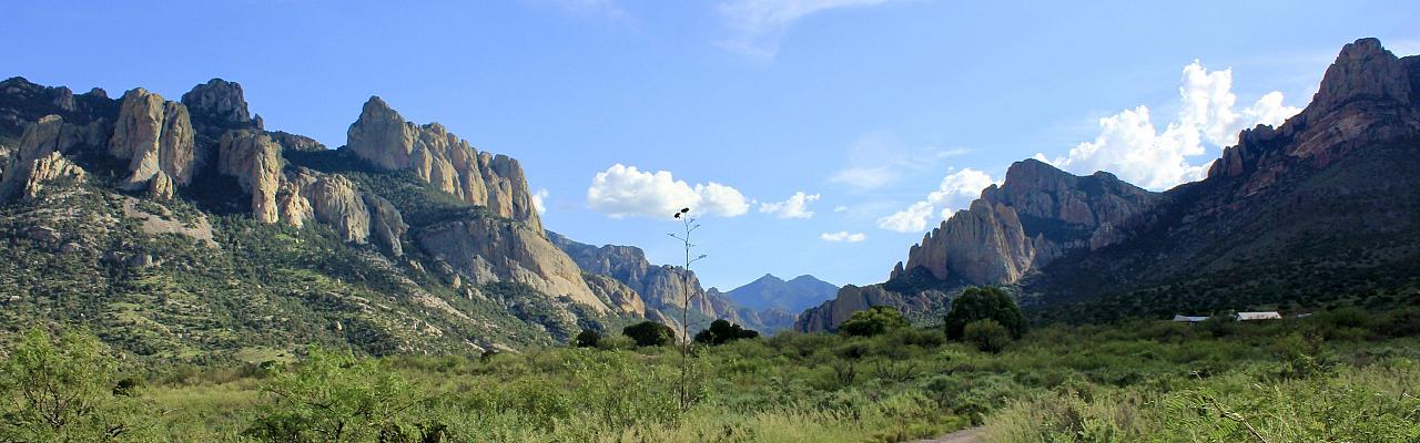 Cave Creek Canyon, Portal, Arizona, Southeast Arizona Birding Tour, Southeast Arizona Nature Tour, Naturalist Journeys