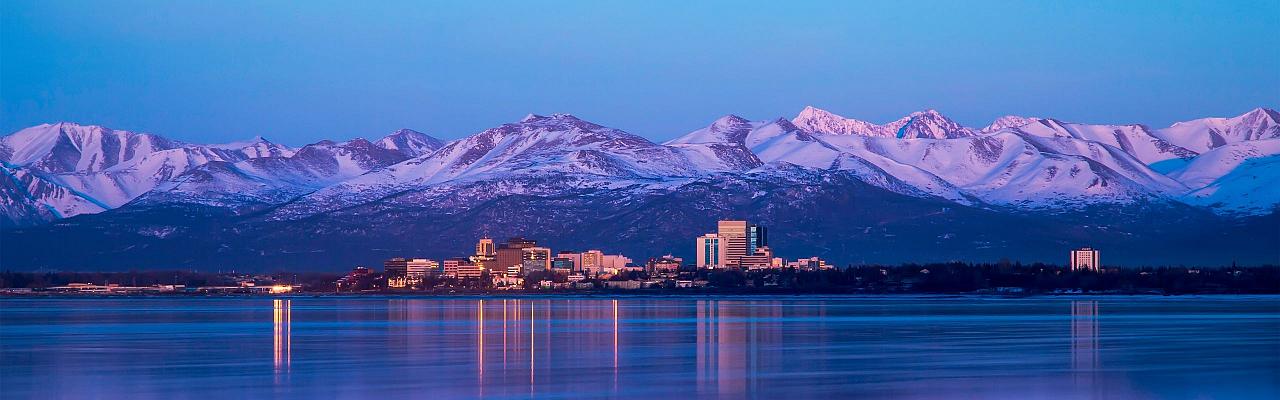 2025 Alaska Birding & Wildlife Tour - Anchorage, Nome, Seward ...