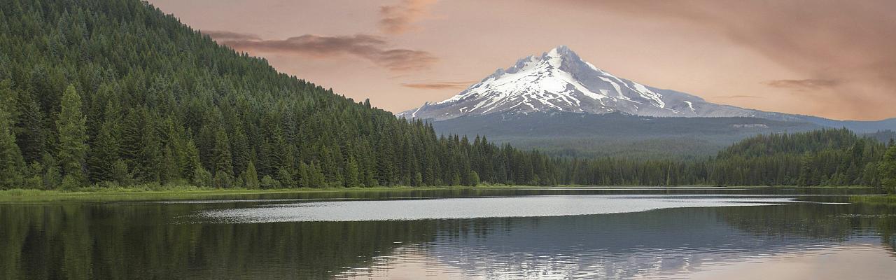 Trillium Lake, Oregon Birding Tour, Oregon Nature Tour, Cascade Mountains Birding Tour, Cascade Mountains Nature Tour, Naturalist Journeys