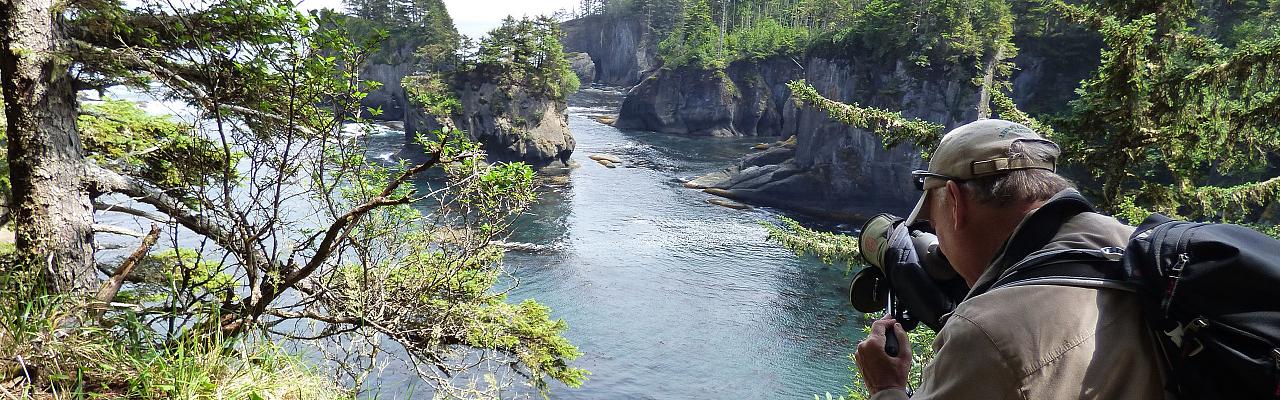 Birding Washington State, Bird watching Olympic Peninsula, Naturalist Journeys, Wildlife Tour, Wildlife Photography, Ecotourism, Specialty Birds, Birding Hotspot, Olympic National Park