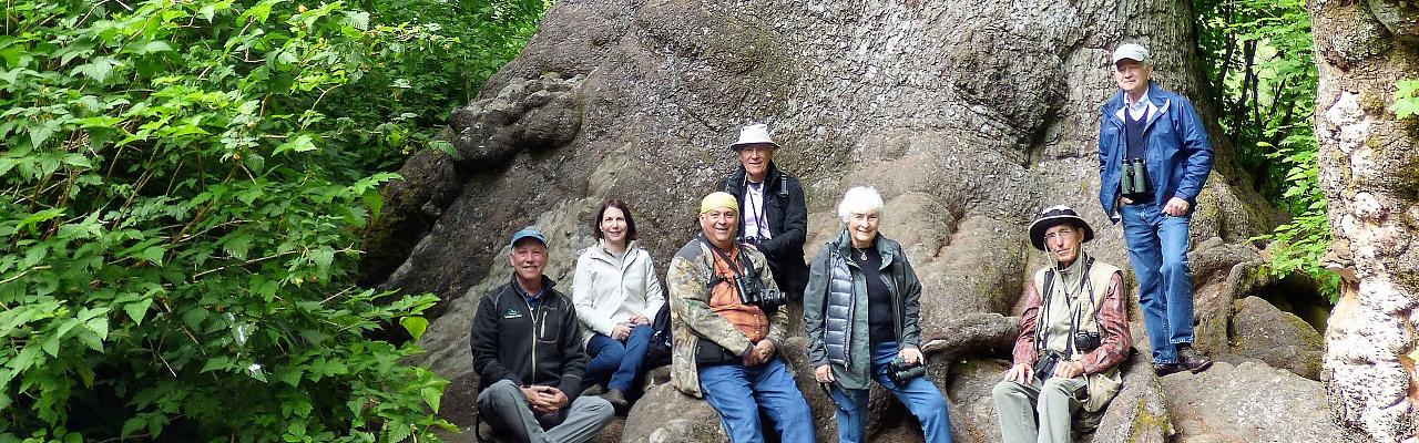 Birding Washington State, Bird watching Olympic Peninsula, Naturalist Journeys, Wildlife Tour, Wildlife Photography, Ecotourism, Specialty Birds, Birding Hotspot, Olympic National Park