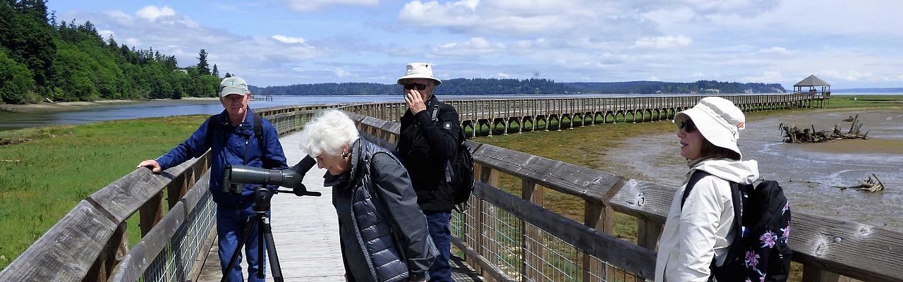 Birding Washington State, Bird watching Olympic Peninsula, Naturalist Journeys, Wildlife Tour, Wildlife Photography, Ecotourism, Specialty Birds, Birding Hotspot, Olympic National Park