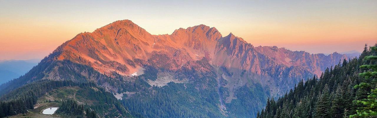 Birding Washington State, Bird watching Olympic Peninsula, Naturalist Journeys, Wildlife Tour, Wildlife Photography, Ecotourism, Specialty Birds, Birding Hotspot, Olympic National Park