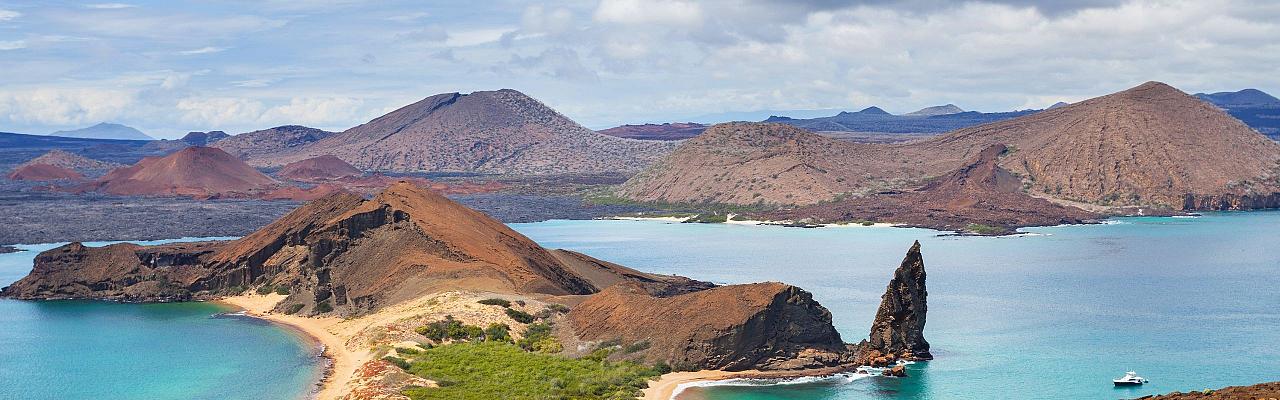 Birding Galapagos, Bird watching Galapagos, Galápagos Islands, South American Birds, Naturalist Journeys, Wildlife Tour, Wildlife Photography, Ecotourism, Specialty Birds, Endemic Birds, Birding Hotspot, Cruise