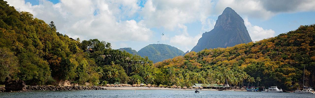 Birding Lesser Antilles, Bird watching, St. Lucia, Dominica, St. Vincent, Naturalist Journeys, Wildlife Tour, Wildlife Photography, Ecotourism, Specialty Birds, Endemic Birds, Birding Hotspot