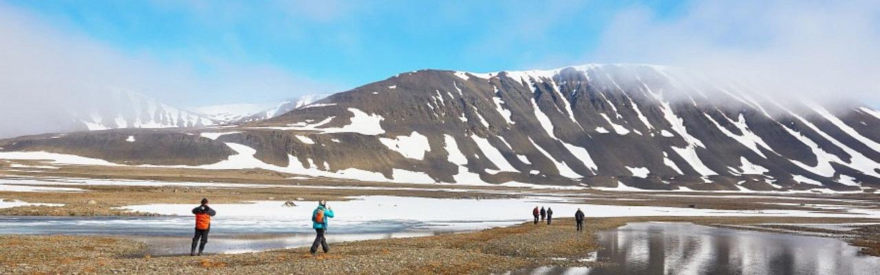 Birding Svalbard, Svalbard Nature, Spitsbergen, Bird watching Svalbard, Polar Region, Naturalist Journeys, Wildlife Tour, Wildlife Photography, Ecotourism, Specialty Birds, Birding Hotspot, Polar Bears