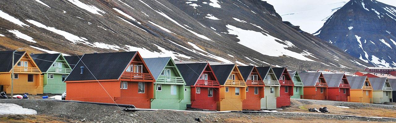 Svalbard, Birding Svalbard, Svalbard Nature, Spitsbergen, Bird watching Svalbard, Polar Region, Naturalist Journeys, Wildlife Tour, Wildlife Photography, Ecotourism, Specialty Birds, Birding Hotspot, Polar Bears