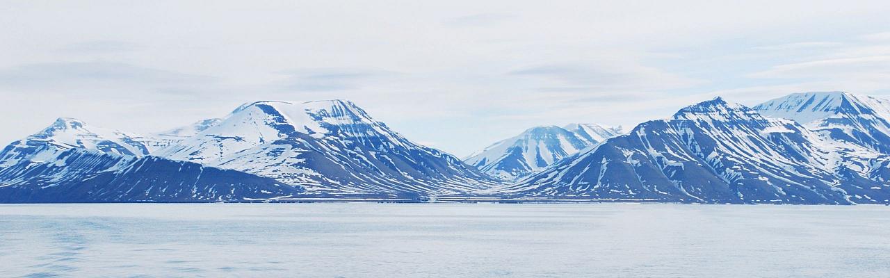 Birding Svalbard, Svalbard Nature, Spitsbergen, Bird watching Svalbard, Polar Region, Naturalist Journeys, Wildlife Tour, Wildlife Photography, Ecotourism, Specialty Birds, Birding Hotspot, Polar Bears