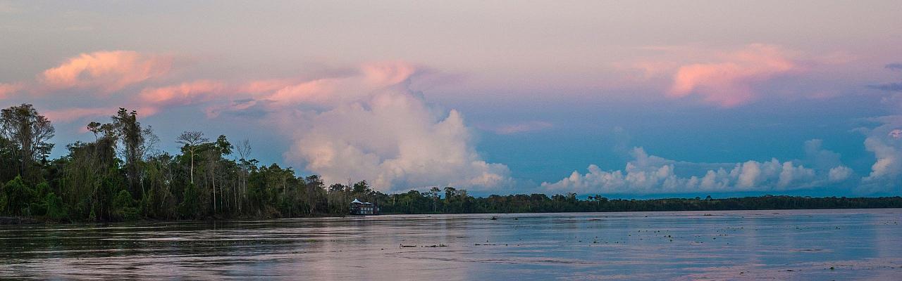 Birding the Amazon, Bird watching South America, Nature Tour, Amazon River, Naturalist Journeys, Wildlife Tour, Wildlife Photography, Ecotourism, Specialty Birds, Birding Hotspot, Endemic Birds