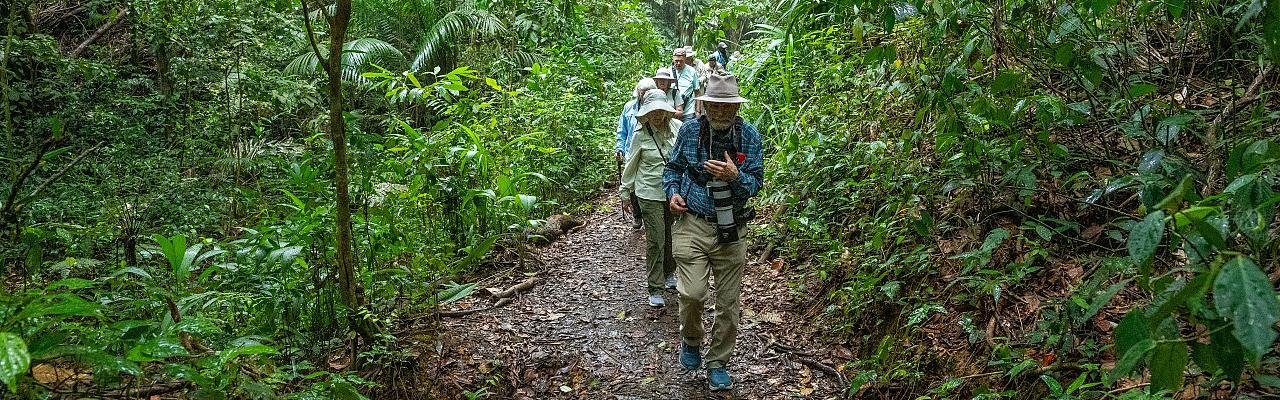 Birding Trinidad, Bird watching Trinidad, South American birds, Naturalist Journeys, Wildlife Tour, Wildlife Photography, Ecotourism, Specialty Birds, Endemic Birds, Birding Hotspot, Asa Wright Nature Center