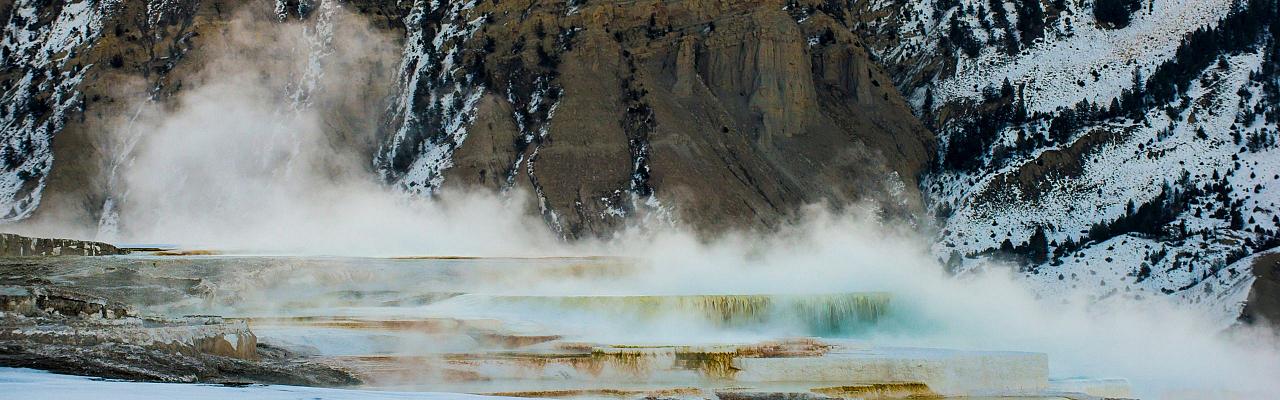 Birding Yellowstone, Wolf Watching Yellowstone, National Park, Naturalist Journeys, Wildlife Tour, Wildlife Photography, Ecotourism, Specialty Birds, Yellowstone National Park