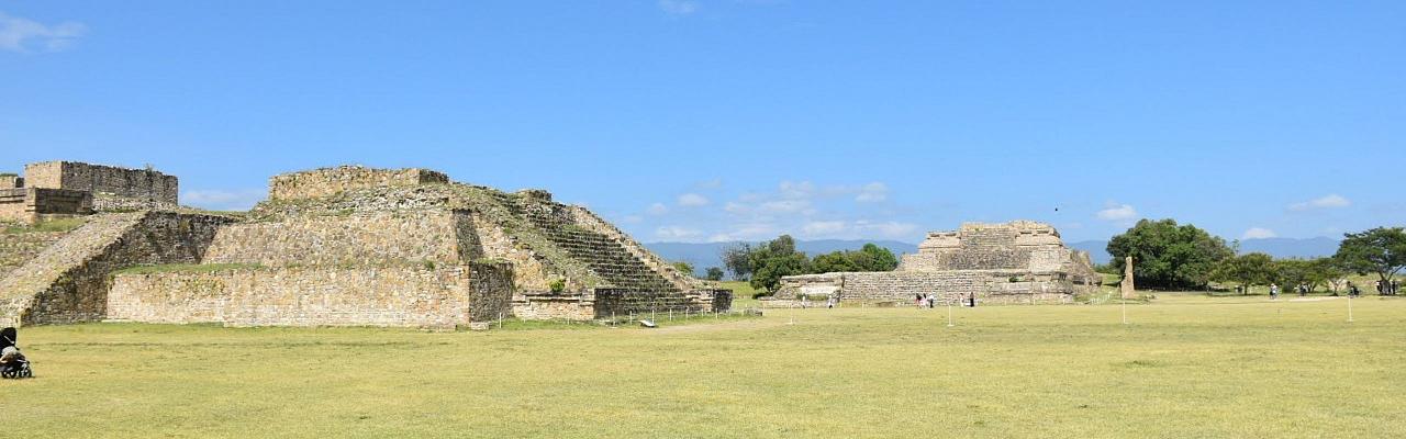 Birding Mexico, Bird watching Mexico, Oaxaca, Mexico, North American Birds, Naturalist Journeys, Wildlife Tour, Wildlife Photography, Ecotourism, Specialty Birds, Endemic Birds, Birding Hotspot 