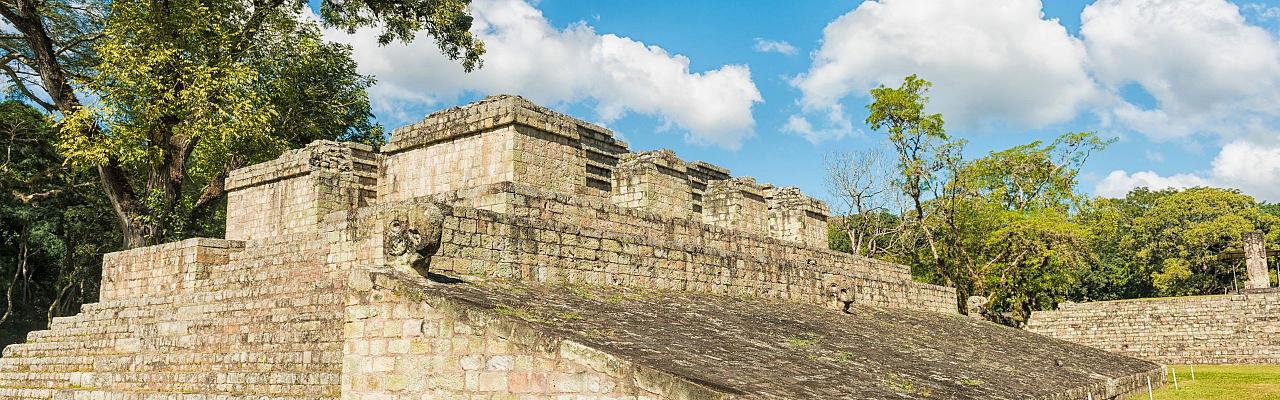 Birding Honduras, Bird Watching Honduras, Central American Birds, Naturalist Journeys, Wildlife Tour, Wildlife Photography, Ecotourism, Specialty Birds, Endemic Birds, Birding Hotspot, Copan Ruins, Maya Ruins