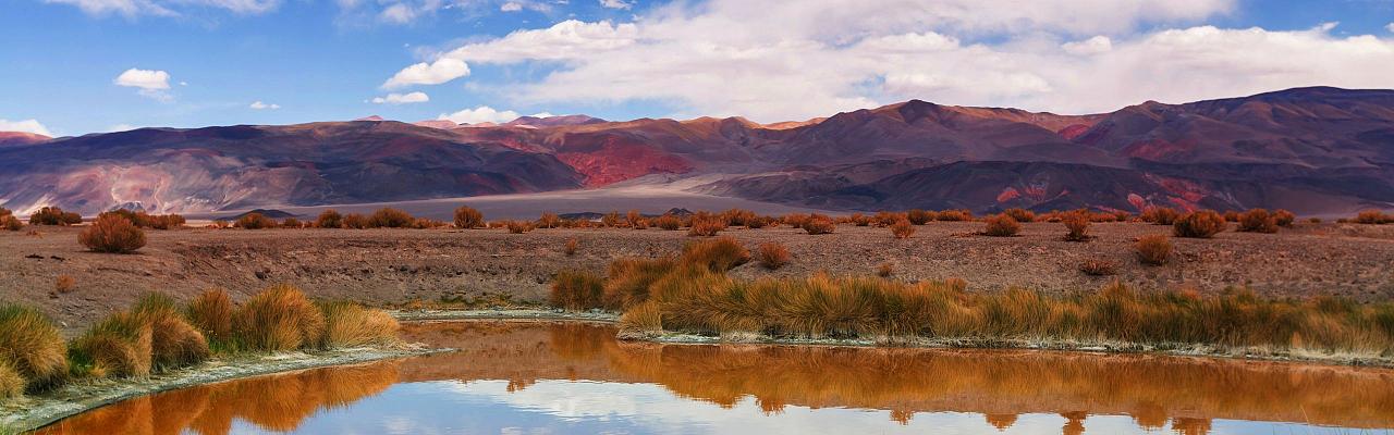 Birding Argentina, Bird watching, South America, Northwest Argentina, Naturalist Journeys, Wildlife Tour, Wildlife Photography, Ecotourism, Specialty Birds, Birding Hotspot