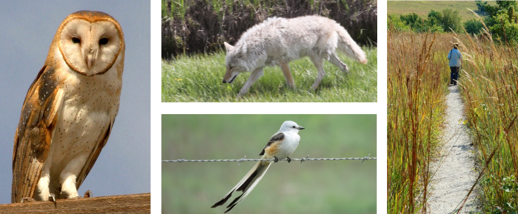 2021-2022 Kansas Otoño y primavera Atlas de caza by Kansas Department of  Wildlife & Parks - Issuu