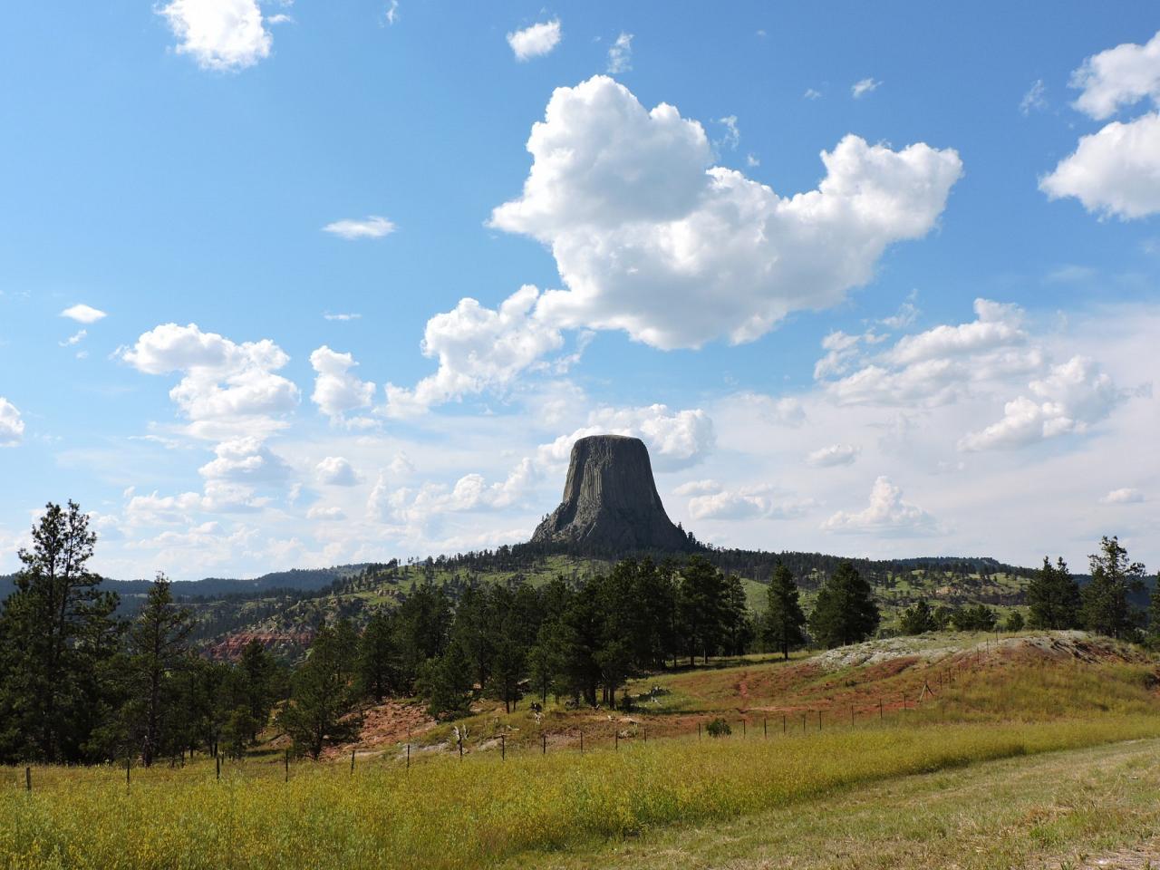 Black Hills Birding, Wildlife and Landscapes tour of South Dakota by Naturalist Journeys guided birding and nature tour of Black Hills