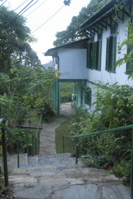 Asa Wright Nature Centre, Trinidad, Trinidad Birding Tour, Naturalist Journeys