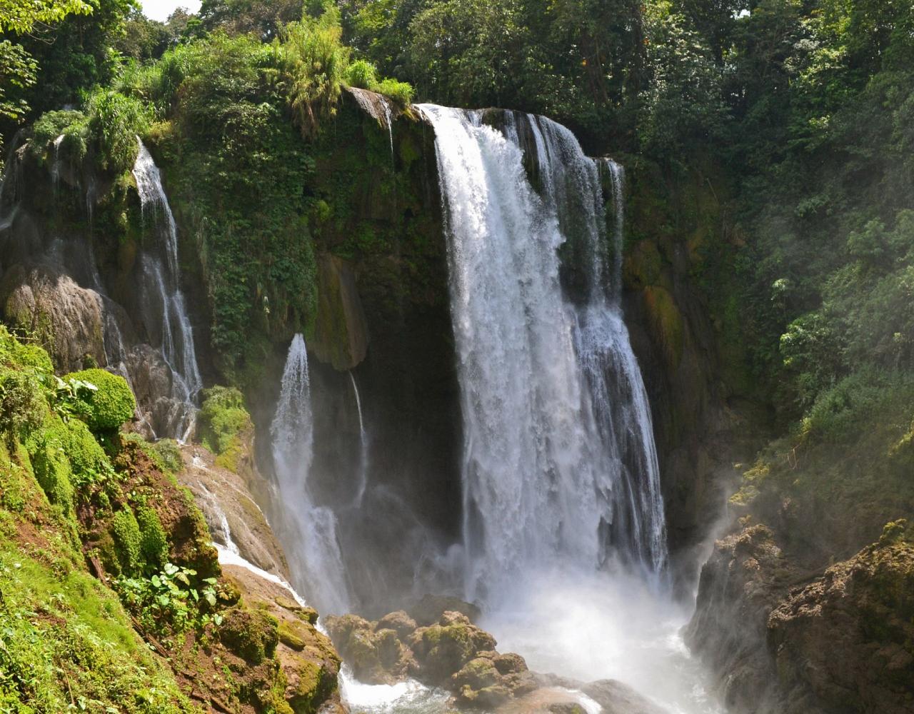 Honduras: Stellar Birding & Maya Ruins with Naturalist Journeys ...