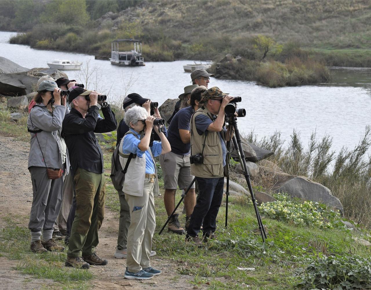 Birding Portugal, Portugal Nature, Bird watching Europe, Fall Migration, Naturalist Journeys, Wildlife Tour, Wildlife Photography, Ecotourism, Specialty Birds, Birding Hotspot, Lisbon, Alentejo