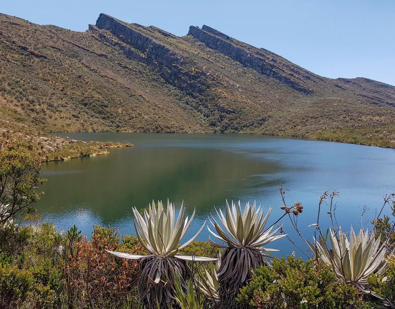 Birding Colombia, Bird watching South America, Nature Tour, Naturalist Journeys, Wildlife Tour, Wildlife Photography, Ecotourism, Specialty Birds, Birding Hotspot, Endemic Birds