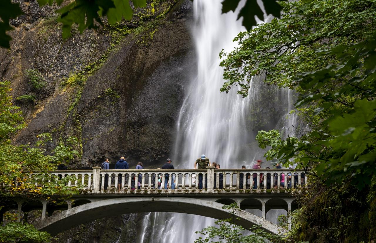 Multnomah Falls, Oregon Birding Tour, Oregon Nature Tour, Cascade Mountains Birding Tour, Cascade Mountains Nature Tour, Naturalist Journeys