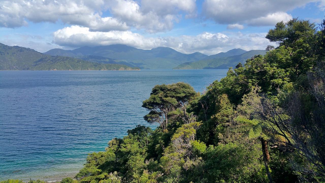 Marlborough Sounds, New Zealand, New Zealand Nature Tour, New Zealand Birding Tour, New Zealand Wildlife Tour, Naturalist Journeys