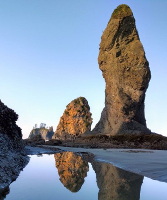 Birding Washington State, Bird watching Olympic Peninsula, Naturalist Journeys, Wildlife Tour, Wildlife Photography, Ecotourism, Specialty Birds, Birding Hotspot, Olympic National Park