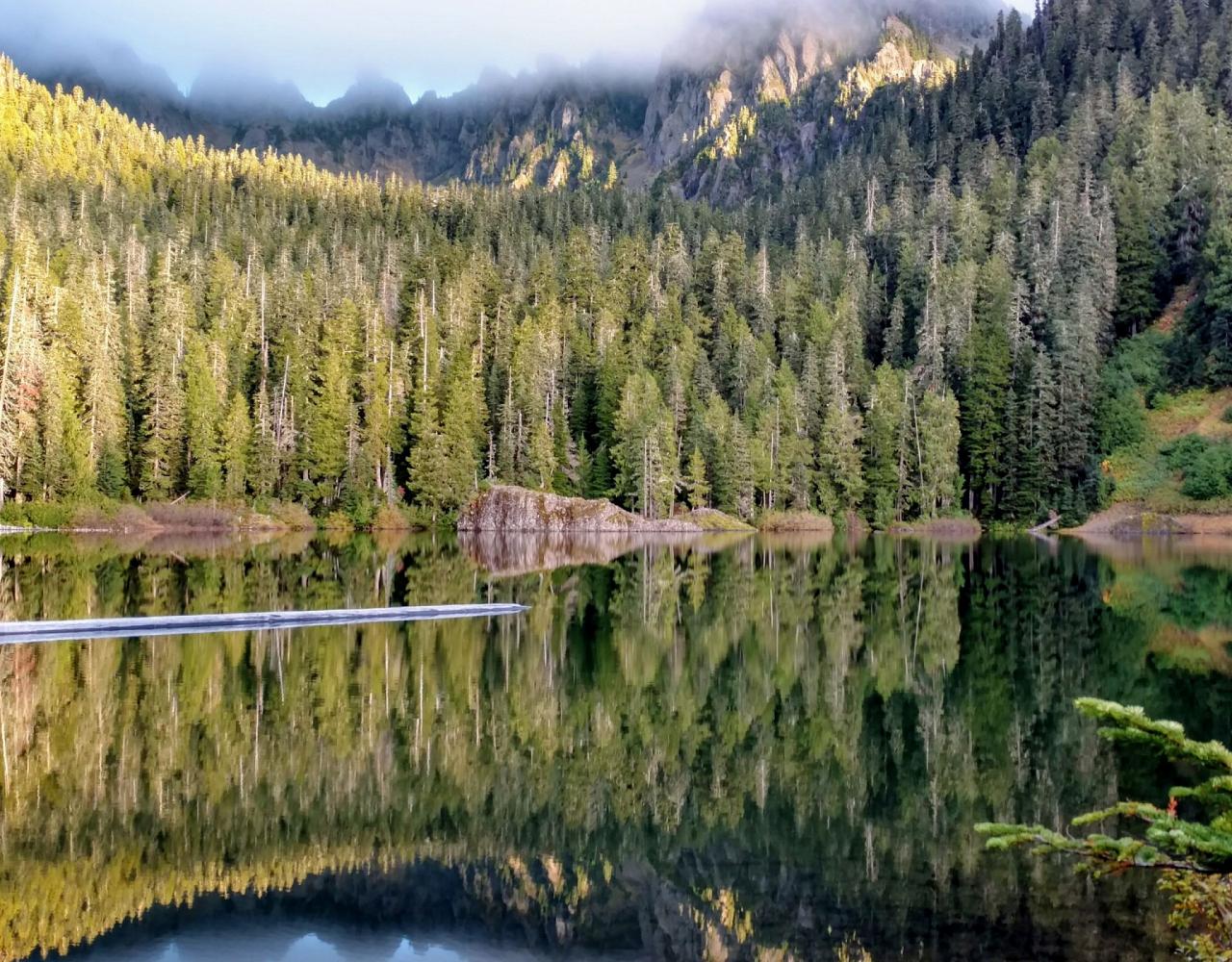 Birding Washington State, Bird watching Olympic Peninsula, Naturalist Journeys, Wildlife Tour, Wildlife Photography, Ecotourism, Specialty Birds, Birding Hotspot, Olympic National Park