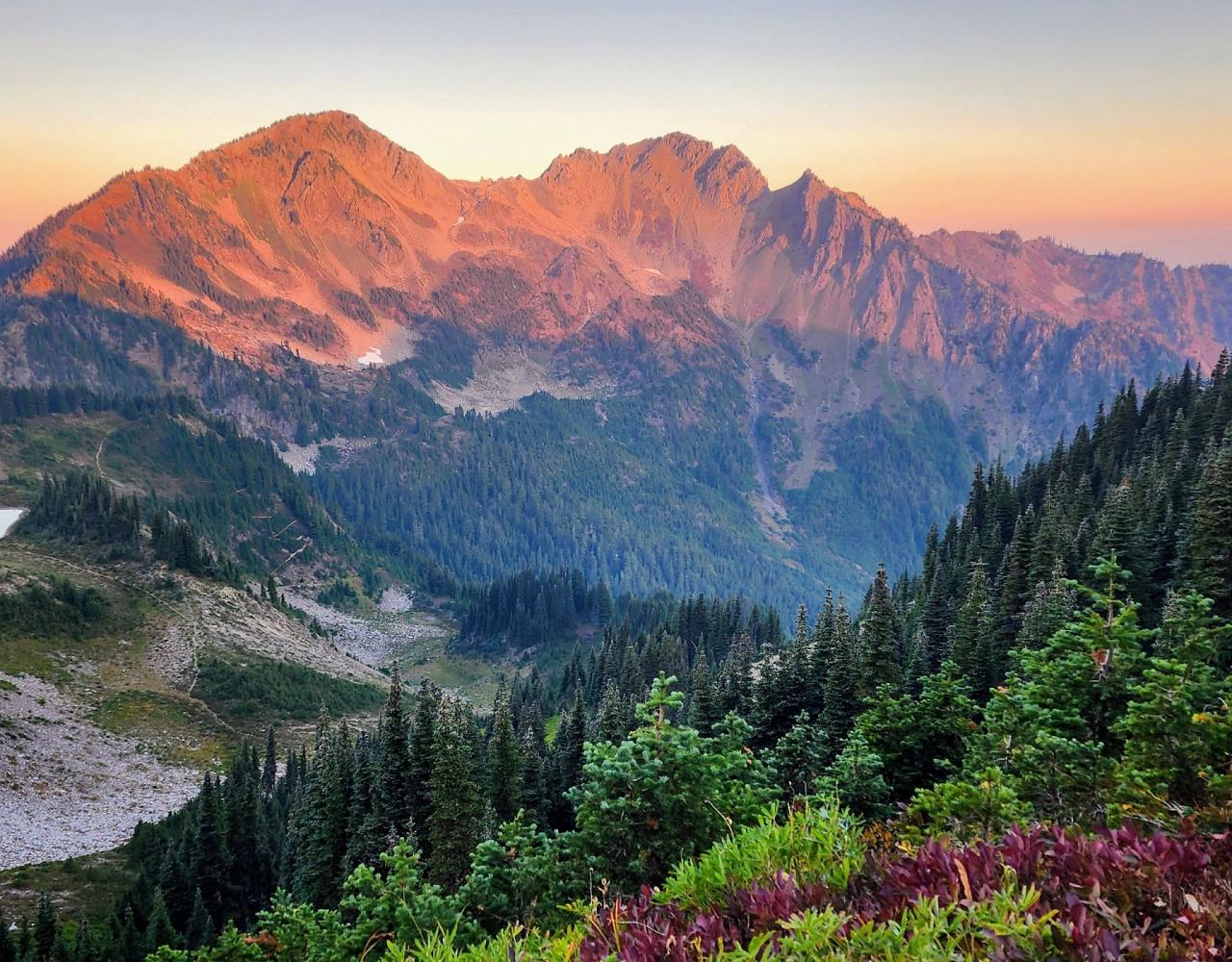 Birding Washington State, Bird watching Olympic Peninsula, Naturalist Journeys, Wildlife Tour, Wildlife Photography, Ecotourism, Specialty Birds, Birding Hotspot, Olympic National Park