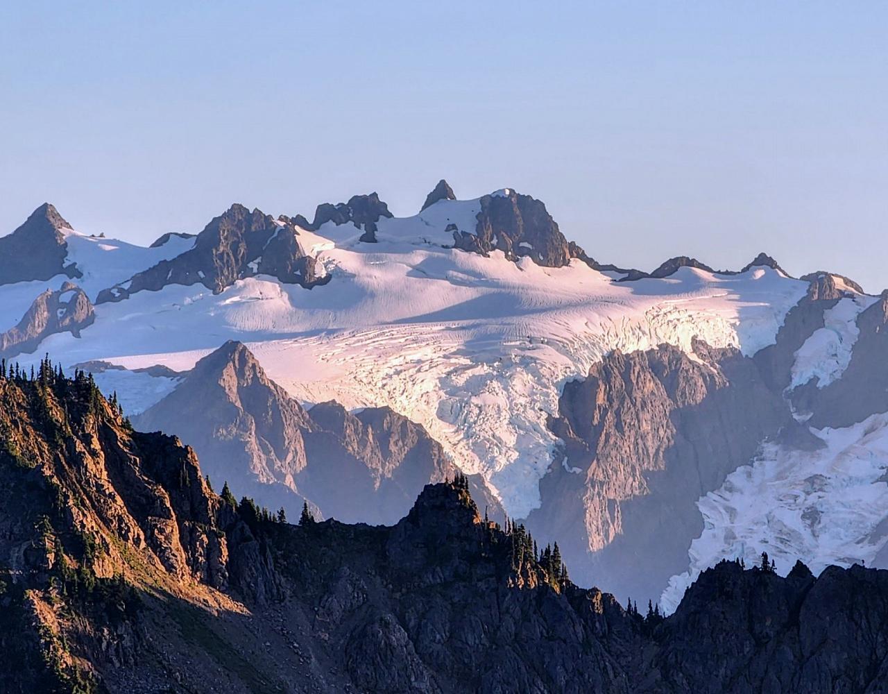 Birding Washington State, Bird watching Olympic Peninsula, Naturalist Journeys, Wildlife Tour, Wildlife Photography, Ecotourism, Specialty Birds, Birding Hotspot, Olympic National Park