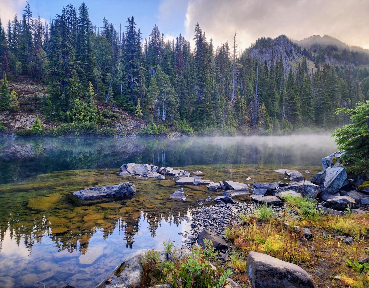 Birding Washington State, Bird watching Olympic Peninsula, Naturalist Journeys, Wildlife Tour, Wildlife Photography, Ecotourism, Specialty Birds, Birding Hotspot, Olympic National Park