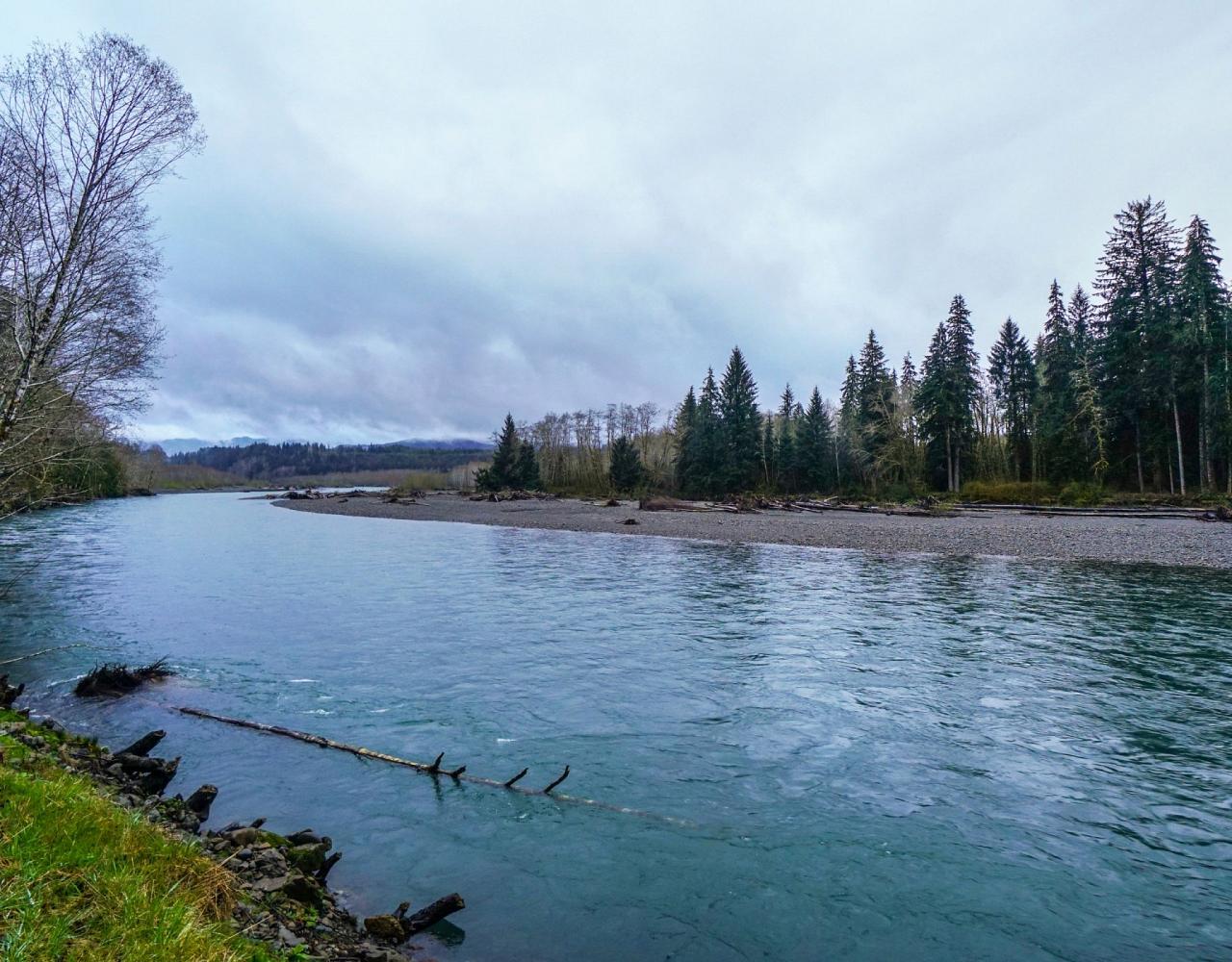 Birding Washington State, Bird watching Olympic Peninsula, Naturalist Journeys, Wildlife Tour, Wildlife Photography, Ecotourism, Specialty Birds, Birding Hotspot, Olympic National Park