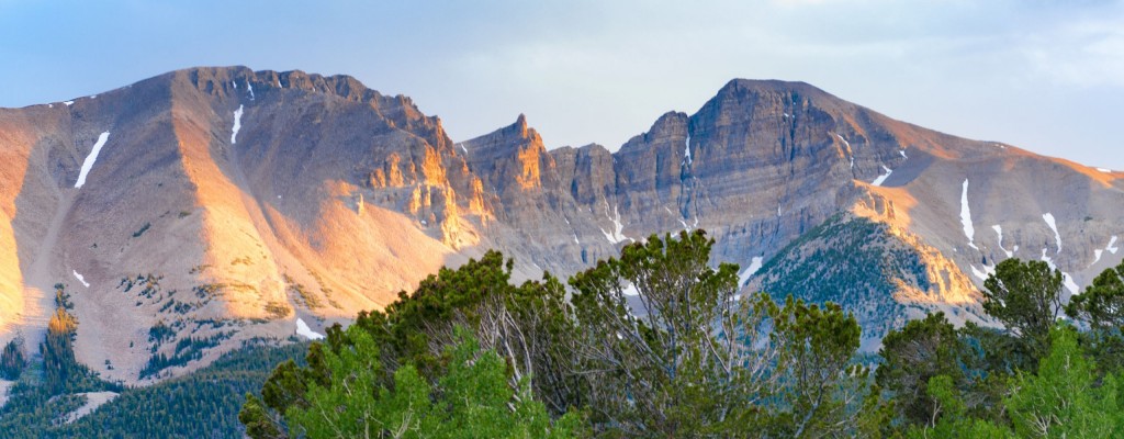 Great Basin National Park, Birding Nevada, Bird Watching Nevada, United States, North American Birds, Naturalist Journeys, Wildlife Tour, Wildlife Photography, Ecotourism, Specialty Birds