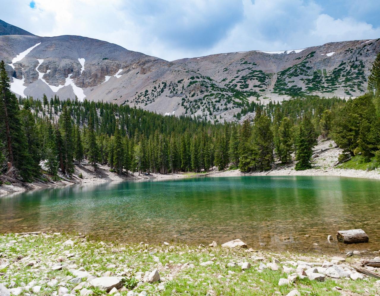 Great Basin National Park, Birding Nevada, Bird Watching Nevada, United States, North American Birds, Naturalist Journeys, Wildlife Tour, Wildlife Photography, Ecotourism, Specialty Birds