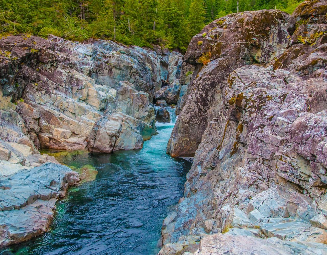 Birding Canada, Bird Watching Canada, Birding North America, Naturalist Journeys, Wildlife Tour, Wildlife Photography, Ecotourism, Specialty Birds, Endemic Birds, Birding Hotspot, Banff National Park