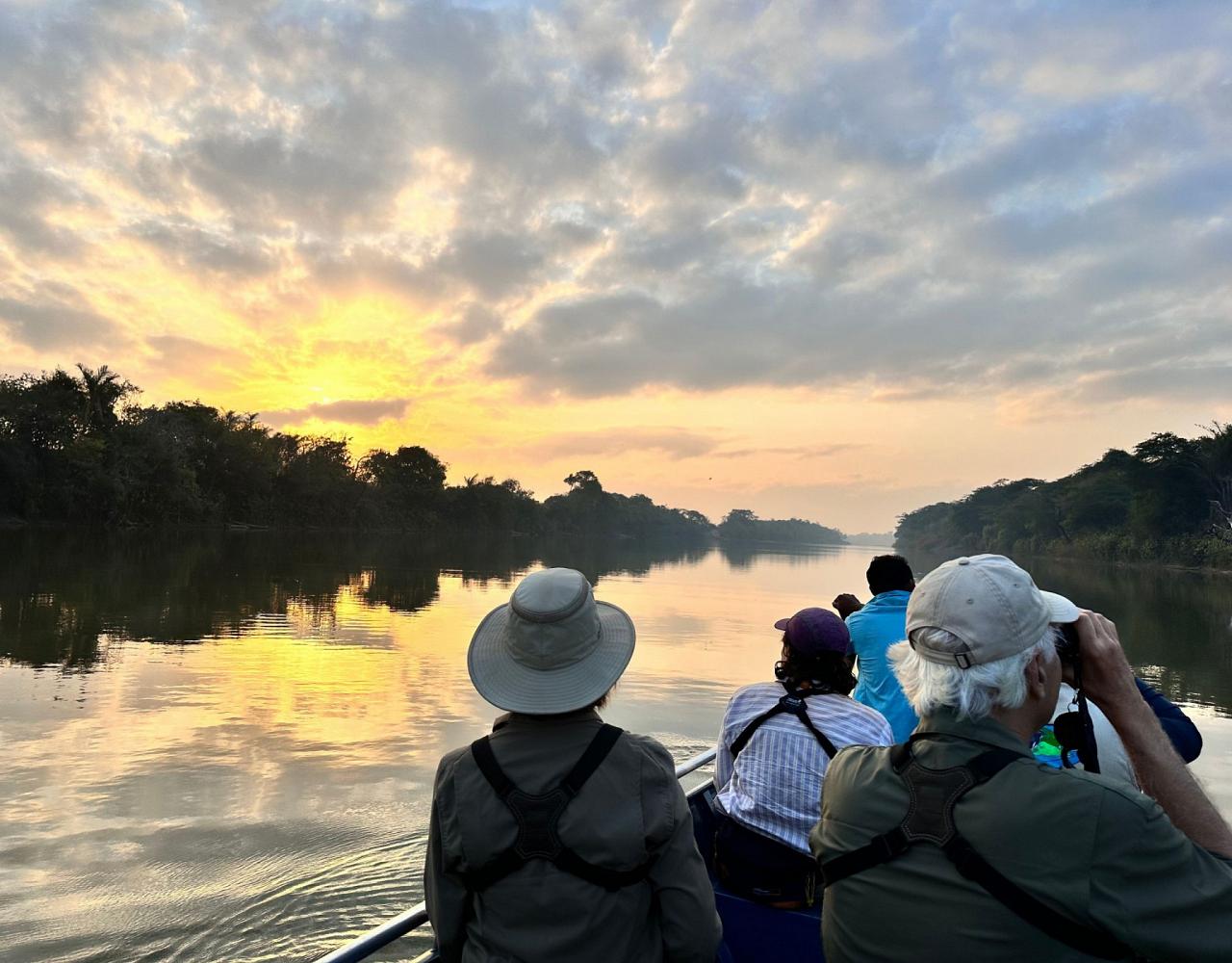 Birding Guyana, Bird Watching Guyana, Birding South America, Naturalist Journeys, Wildlife Tour, Wildlife Photography, Ecotourism, Specialty Birds, Endemic Birds, Birding Hotspot