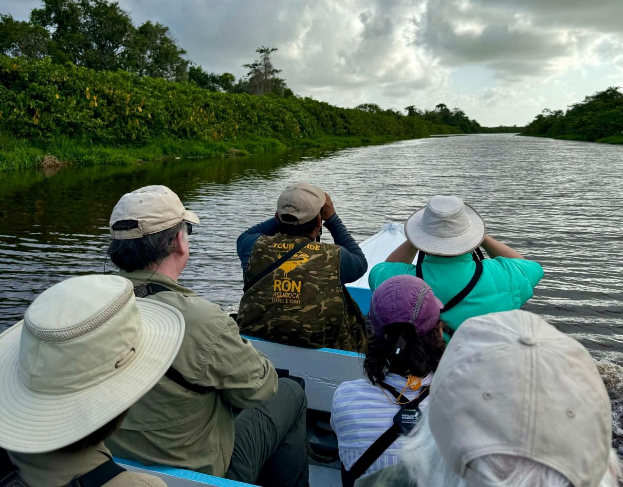 Birding Guyana, Bird Watching Guyana, Birding South America, Naturalist Journeys, Wildlife Tour, Wildlife Photography, Ecotourism, Specialty Birds, Endemic Birds, Birding Hotspot