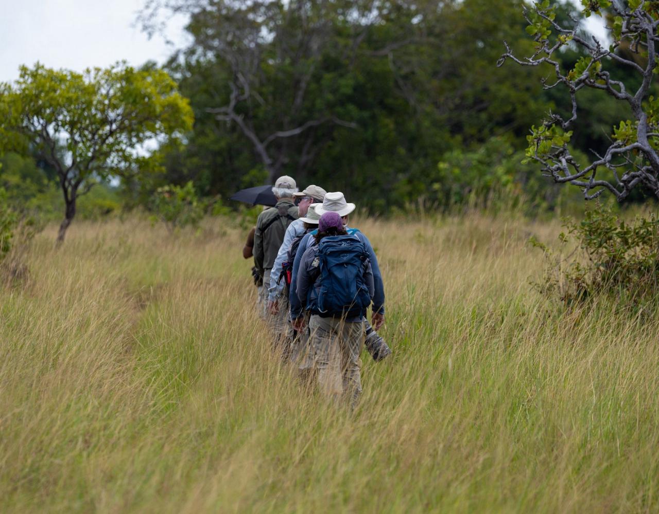 Birding Guyana, Bird Watching Guyana, Birding South America, Naturalist Journeys, Wildlife Tour, Wildlife Photography, Ecotourism, Specialty Birds, Endemic Birds, Birding Hotspot