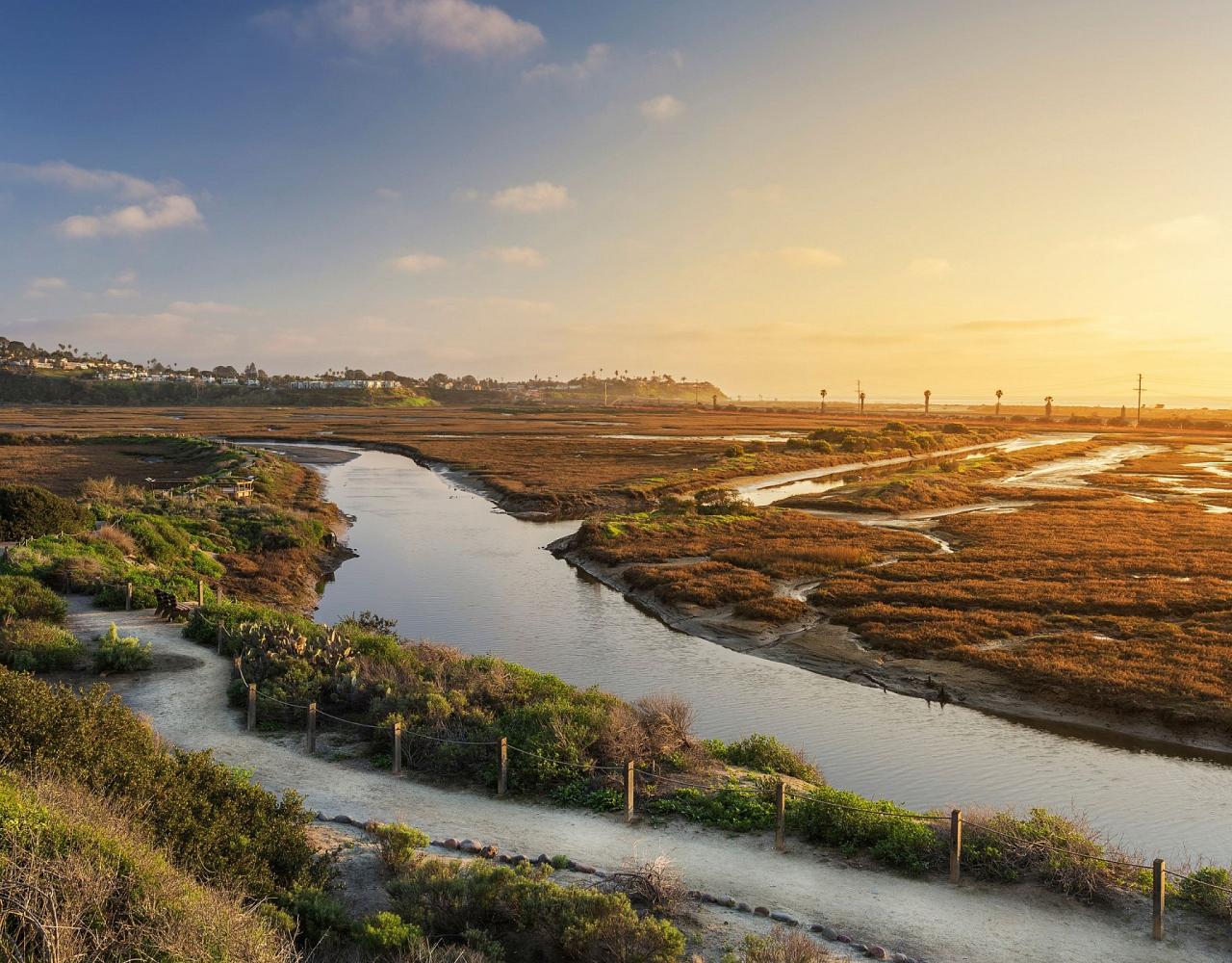 Birding Southern California, Bird Watching Southern California, North American Birds, Naturalist Journeys, Wildlife Tour, Wildlife Photography, Ecotourism, Specialty Birds, Endemic Birds, Birding Hotspot, Santa Barbara, Whale Watching