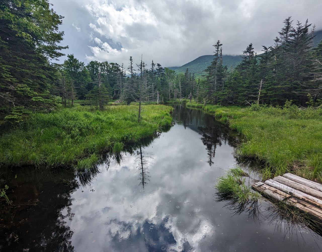 New Hampshire, New Hampshire Nature Tour, New Hampshire Birding Tour, White Mountains, White Mountains Nature Tour, White Mountains Birding Tour, Mt. Washington, Naturalist Journeys