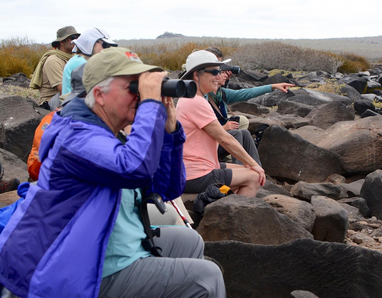 Birding Galapagos, Bird watching Galapagos, Galápagos Islands, South American Birds, Naturalist Journeys, Wildlife Tour, Wildlife Photography, Ecotourism, Specialty Birds, Endemic Birds, Birding Hotspot, Cruise