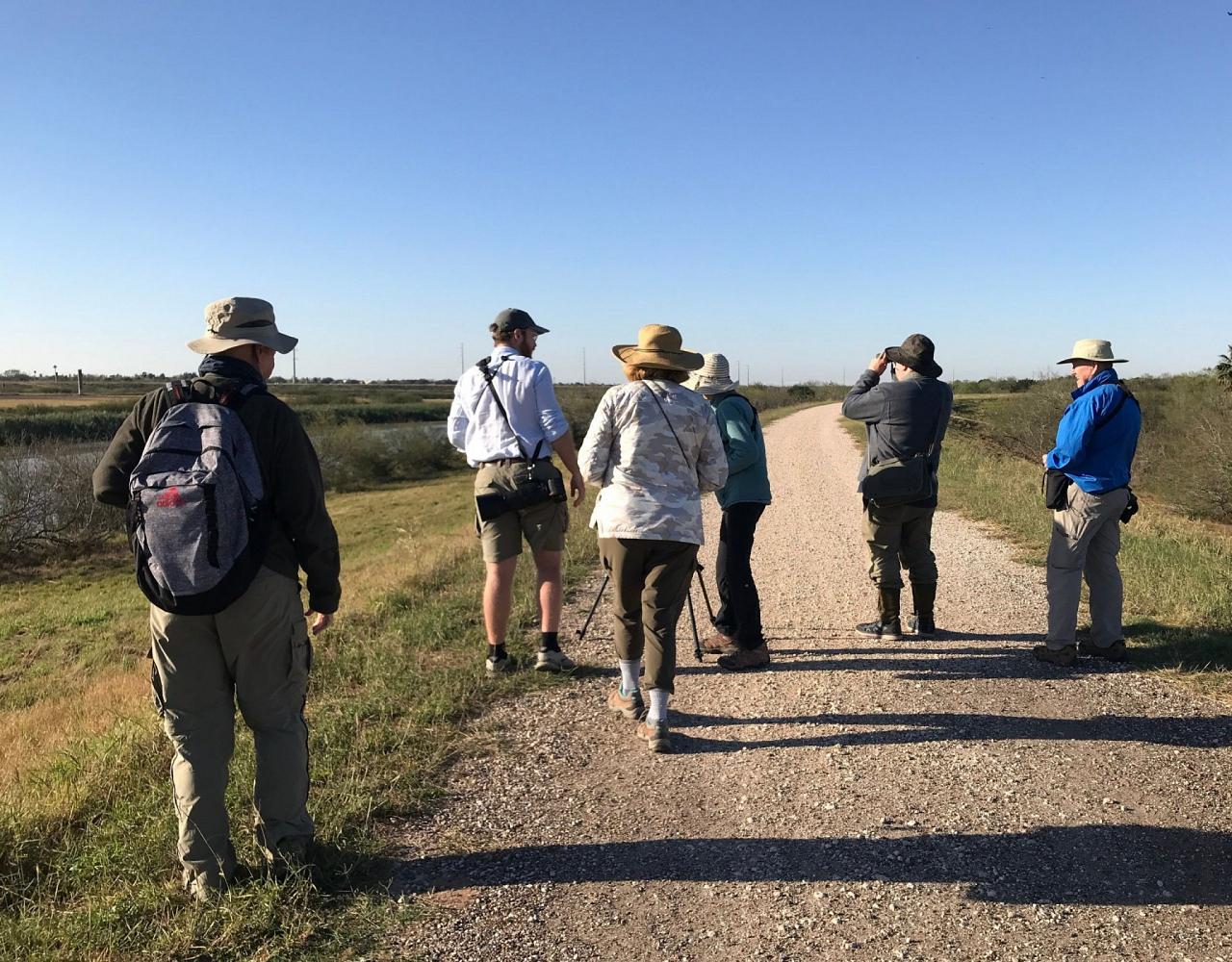 Birding South Texas, Bird watching, Rio Grande Valley, South Texas, Naturalist Journeys, Wildlife Tour, Wildlife Photography, Ecotourism, Specialty Birds, Birding Hotspot