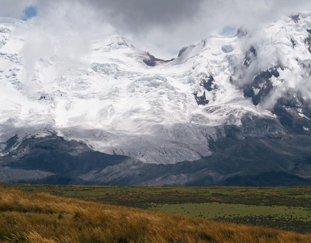 Birding Ecuador, Bird watching Ecuador, Ecuador, South American Birds, Naturalist Journeys, Wildlife Tour, Wildlife Photography, Ecotourism, Specialty Birds, Endemic Birds, Birding Hotspot