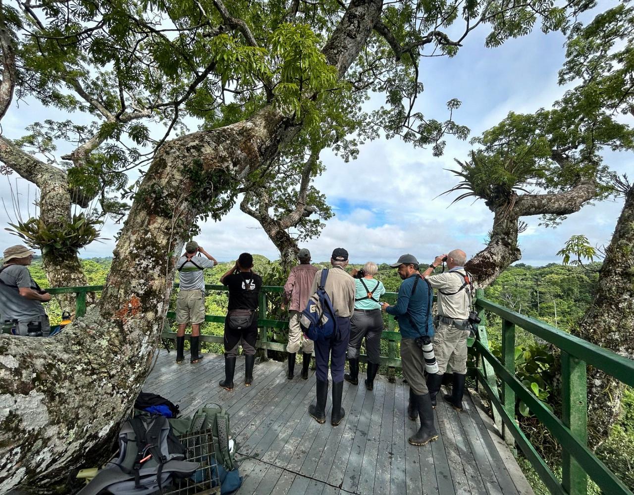 Birding Ecuador, Bird watching Ecuador, Ecuador, South American Birds, Naturalist Journeys, Wildlife Tour, Wildlife Photography, Ecotourism, Specialty Birds, Endemic Birds, Birding Hotspot