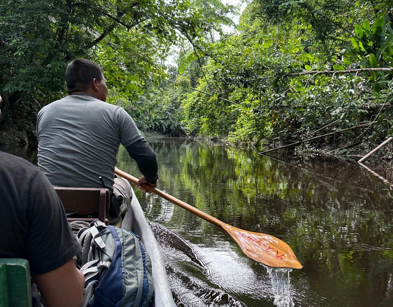 Birding Ecuador, Bird watching Ecuador, Ecuador, South American Birds, Naturalist Journeys, Wildlife Tour, Wildlife Photography, Ecotourism, Specialty Birds, Endemic Birds, Birding Hotspot