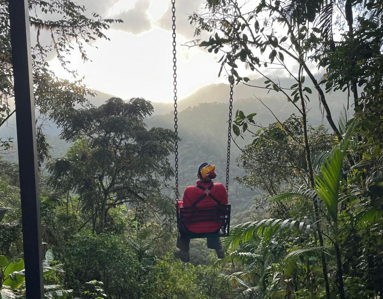 Birding Ecuador, Bird watching Ecuador, Ecuador, South American Birds, Naturalist Journeys, Wildlife Tour, Wildlife Photography, Ecotourism, Specialty Birds, Endemic Birds, Birding Hotspot