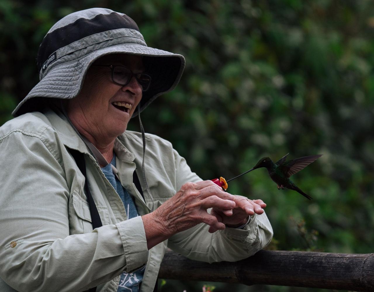 Birding Ecuador, Bird watching Ecuador, Ecuador, South American Birds, Naturalist Journeys, Wildlife Tour, Wildlife Photography, Ecotourism, Specialty Birds, Endemic Birds, Birding Hotspot